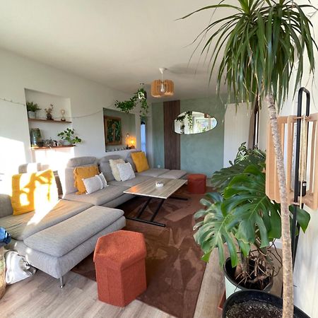 Appartement T3 - Foret & Plage Anglet Esterno foto