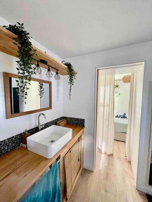 Appartement T3 - Foret & Plage Anglet Esterno foto